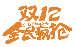 2013 Final Sale - offer - No Background PNG