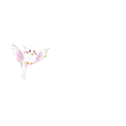 Butterfly - insect - High Quality PNG