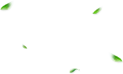 Falling Leaves - falling - Highly Rated PNG