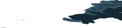 Dolphin - aquatic animal - jumping - High Resolution PNG