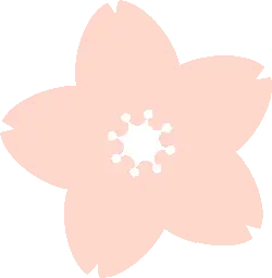 spring - Transparent Layer PNG - Cherry Blossom