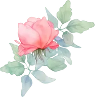 Rose - Highly Rated PNG - Free PNG