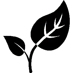 Leaf - growth - ecology - No Watermark PNG