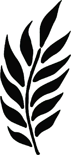 Leaf - No Watermark PNG - Lossless PNG