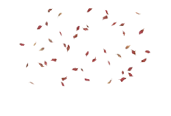 Falling Leaves - red - Transparent Layer PNG