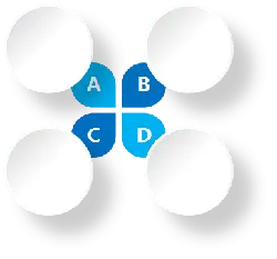 Four Leaf Clover - lucky - No Background PNG