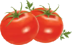 Tomato - healthy - Transparent Background PNG