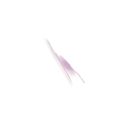 Purple Phone - Curated PNG