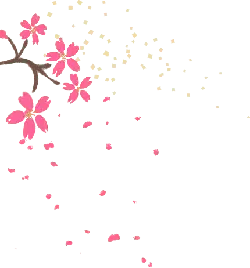 Cherry Blossoms - beautiful - Lossless PNG