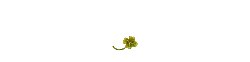 Four Leaf Clover - plant - Free for Commercial Use PNG