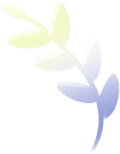 Laurel Leaf - decoration - Free PNG