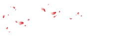 Pink Petals Falling - fall - No Watermark PNG
