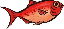 Red Fish - High Quality PNG