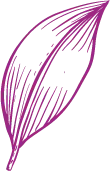 Leaf - growth - Highly Rated PNG