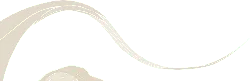 Abstract Line Art - line art - No Background PNG