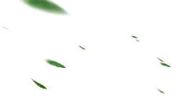 Falling Leaves - nature - green - PNG Images