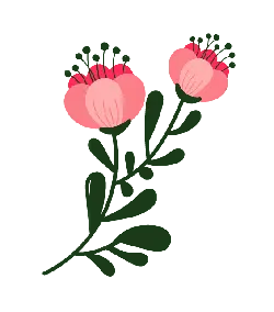 Pink Flowers - pink - simple - No Background PNG