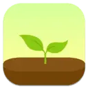 Sprouting Plant - life - PNG Images