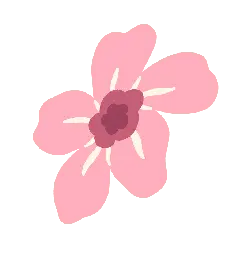 Pink Flower - PNG Images - simple