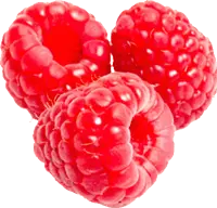 Raspberry - sweet - Highly Rated PNG