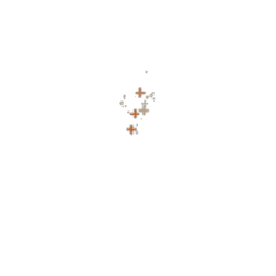 Four Leaf Clover - leaves - Free PNG