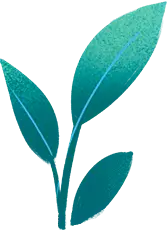 Green Leaves - growth - environmental protection - High Resolution PNG