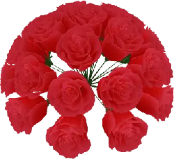 Red Rose - No Watermark PNG - rose