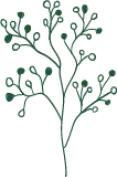 Abstract Tree Branch Pattern - Transparent Background PNG