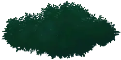 Green Plant - growth - Highly Rated PNG