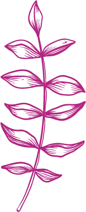 Pink Plant Branch - branch - High Resolution PNG