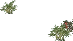 Bamboo and Flowers - life - Free Download PNG