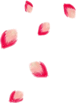Petals - Free PNG