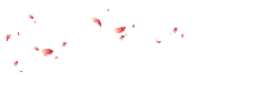 Pink Petals Falling - High Quality PNG - Highly Rated PNG