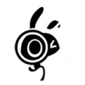 Rabbit with Camera - photography - Transparent Layer PNG