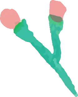 Abstract Artwork - Curated PNG - color