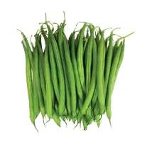 Green Bean - healthy food - fresh - Transparent Layer PNG