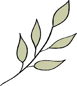 Leaf Pattern - nature - minimalist - High Resolution PNG