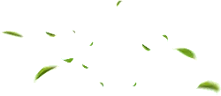 Falling Leaves - autumn - No Background PNG