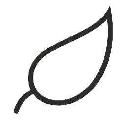 Leaf - Curated PNG - environmental protection