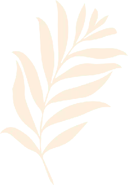 Palm Leaf - decoration - Designer's Pick PNG
