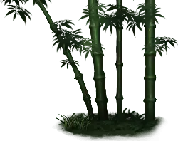 Bamboo - green - nature - Lossless PNG