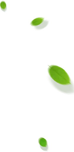 Leaves Falling - nature - Popular Download PNG