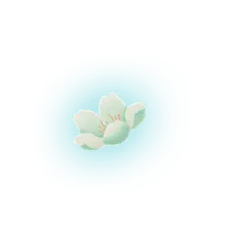 White Flower - beautiful - Free for Commercial Use PNG