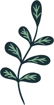 Green Plant Branch - nature - plant - Free Download PNG