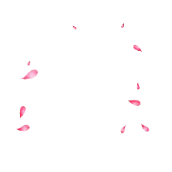Pink Petals - Fast Download PNG - Popular Download PNG