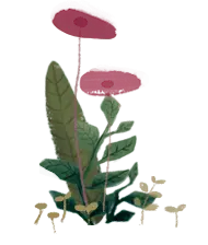 Red Flowers and Green Plants - illustration - PNG Images