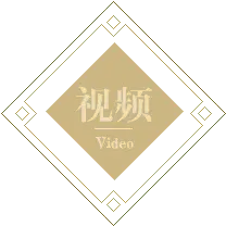Video - audio - Lossless PNG