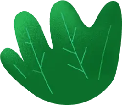 Green Leaf - Curated PNG - PNG Images