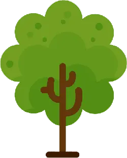 Cartoon Tree - Transparent Background PNG