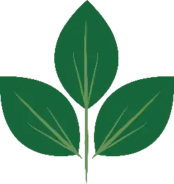 Clover - ecology - No Watermark PNG